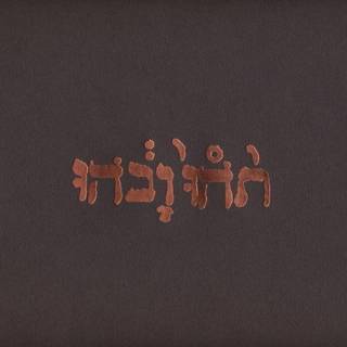 Godspeed You! Black Emperor - Slow Riot for New Zero Kanada