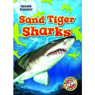 Sand Tiger Sharks