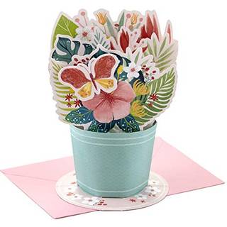 Hallmark Paper Wonder Pop Up Card (Flower Bouquet) til mors dageksamen administrative fagfolk dag sygeplejersker dag for?r enhver lejlighed