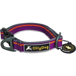 OllyDog Urban Trail Reflective Collar Wild Aster, M