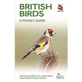 British and Irish Birds