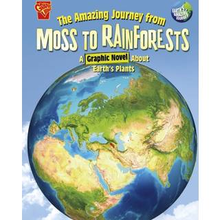 The Amazing Journey from Moss to Rainforests