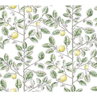 York Wallpaper Limoncello Toile RT7911