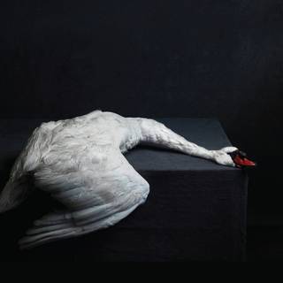 Amenra - Mass Vi