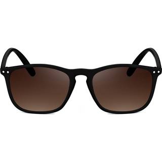 Walden Sort og Brun Wade Solbrille