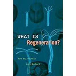 What Is Regeneration?