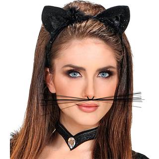Schwarze Katze Schnurrhaare