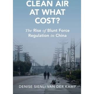 Clean Air at What Cost?