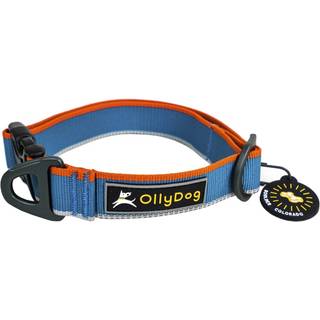 OllyDog Urban Trail Reflective Collar Air Blue, L