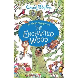 The Magic Faraway Tree: The Enchanted Wood