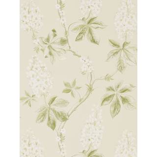 Chestnut Tree Lemon/Lettuce - DWOW215707