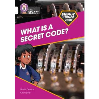 Shinoy and the Chaos Crew: What is a secret code?