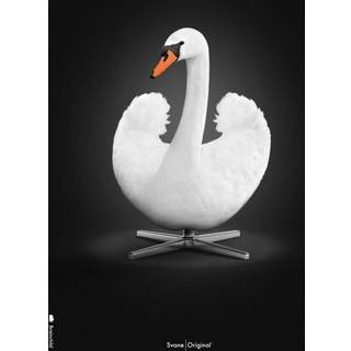 Brainchild – Plakat – Klassisk – Sort baggrund – Hvid Svane