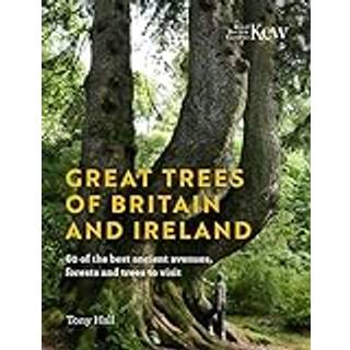 Great Trees of Britain and Ireland