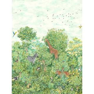 Albany Mural Into The Wild 99382