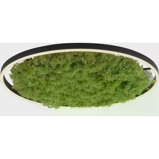 LED-loftlampe Green Ritus, mos dæmpbar Ø58,5cm