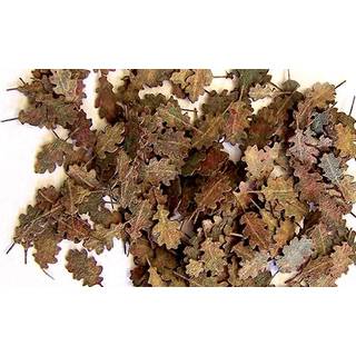 Eichenbl��tter - extra Farben