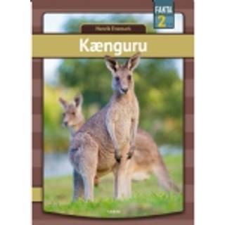 Kænguru