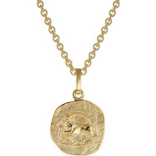trendor 75905-01 Sternzeichen für Kinder Steinbock Gold 333 Anhänger + Kette