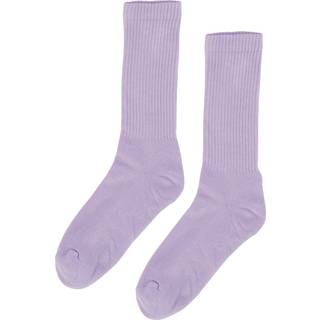 Colorful Standard Active Sock Soft Lavender - 41-46