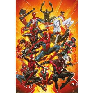 SPIDER-MAN - Multi - Poster 61 x 91cm