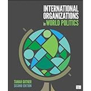 International Organizations in World Politics