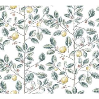 York Wallpaper Limoncello Toile RT7914