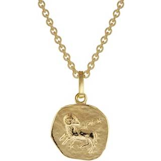 trendor 75905-04 Sternzeichen für Kinder Widder Gold 333 Anhänger + Halskette