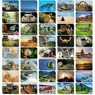 Bedste papirhilsener 40 Pack Bulk Animal and Travel Postcards fra hele verden til mailing Assorteret natur Taknoter (4 x 6 in)