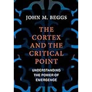 The Cortex and the Critical Point
