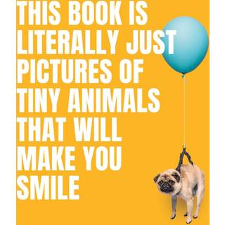 This Book Is Literally Just Pictures of Tiny Animals That Will Make You Smile