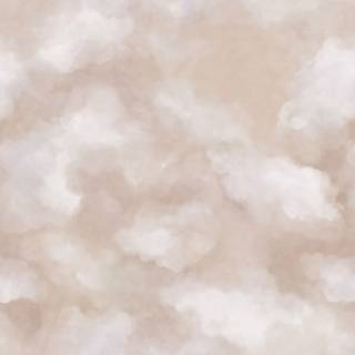 Sky - 9560W