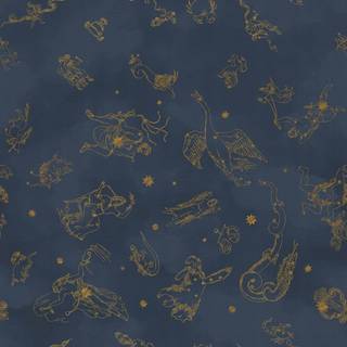 Constellations - 9561W