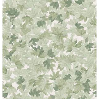 Tree Canopy - 9555W