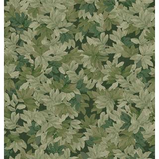 Tree Canopy - 9554W