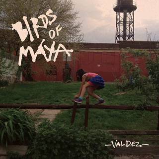 Birds of Maya - Valdez