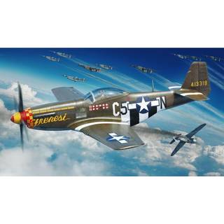 P-51D-5 Mustang 1/48