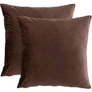 Rainroad fl?jl dekorativ kastpude d?kker pudeovertr?k pudebetr?k til sofa sofa seng stol bl?d firkant brun kaste puder 18x18 tommer s?t p? 2