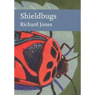 Shieldbugs