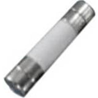 Belfuse 5HT 250-R Finsikring 100 stk