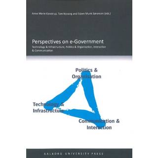 Perspectives on e-Government