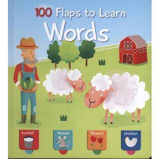 100 FLAPS TO LEARN WORDS