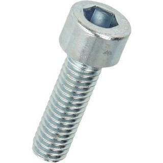 Bolt 8X25Mm Ch Indv.6-K 6Mm Din 921 Elf Dresselhaus