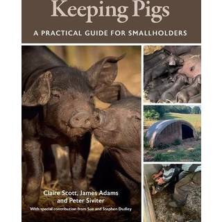 Keeping Pigs