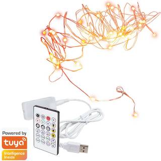 LogiLink Wi-Fi Smart RGB String Light - 5 meter