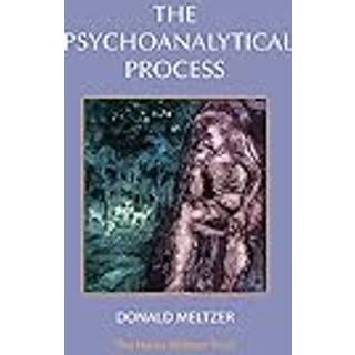 The Psychoanalytical Process