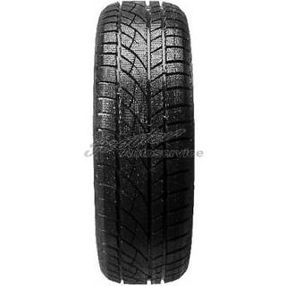 Evergreen EW66 3PMSF 205/55R16 91H