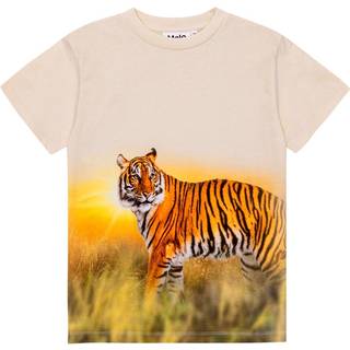 Molo GOTS Roxo T-shirt Tiger Sand 98 cm  Beige  98 cm  mand