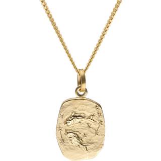 trendor 15436-03 Fische Sternzeichen Gold 585 mit vergoldeter Silberkette