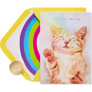 Papyrus Cat Birthday Card (tillykke med f?dselsdagen)